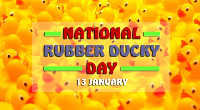 1.13.Ducky 1024 x 566