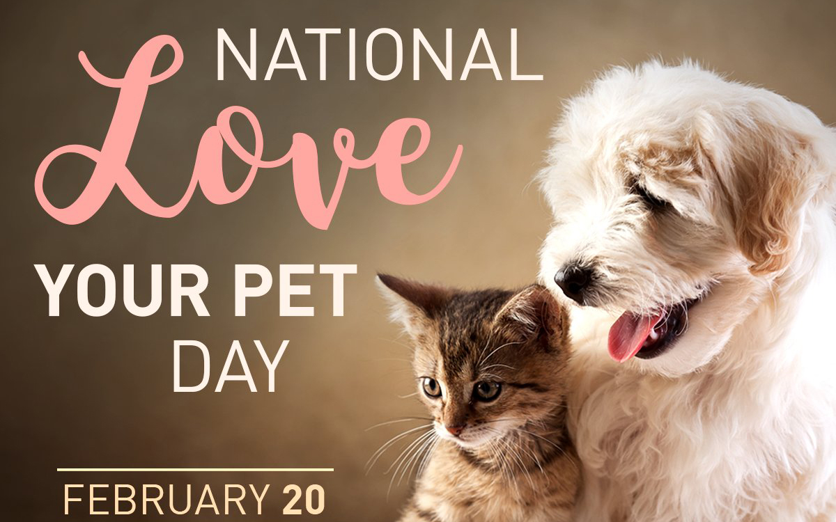 National Love Your Pet Day / Cherry Pie Day Ellis DownHome