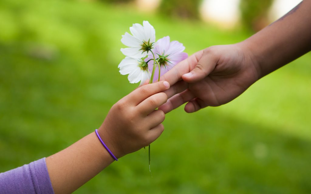 National Chocolate Chip Day / Bring Flowers To Someone Day ...