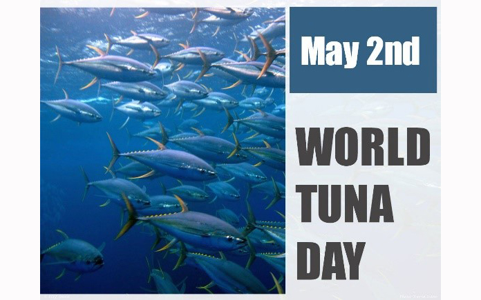 World Tuna Day / National Doodle Dog Day - Ellis DownHome
