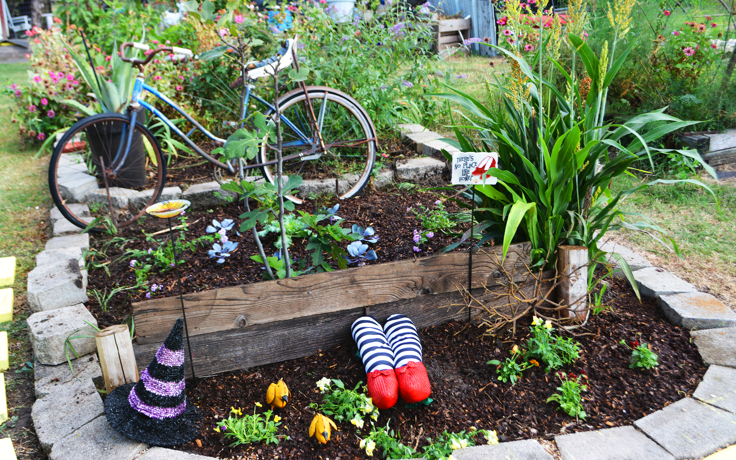 Lantana, Pansies, and Kale - OH MY! - Ellis DownHome